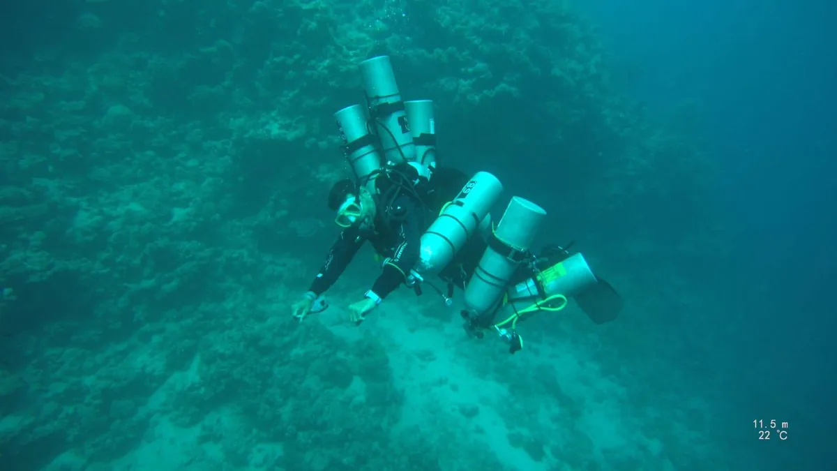Seven scuba tanks laid out on the sea floor