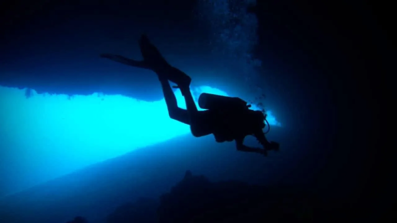 The Magic of Night Diving in Dahab